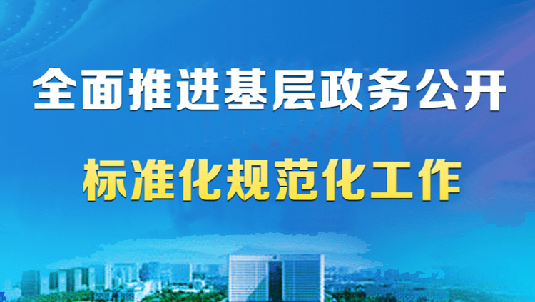 基層標準化規(guī)范